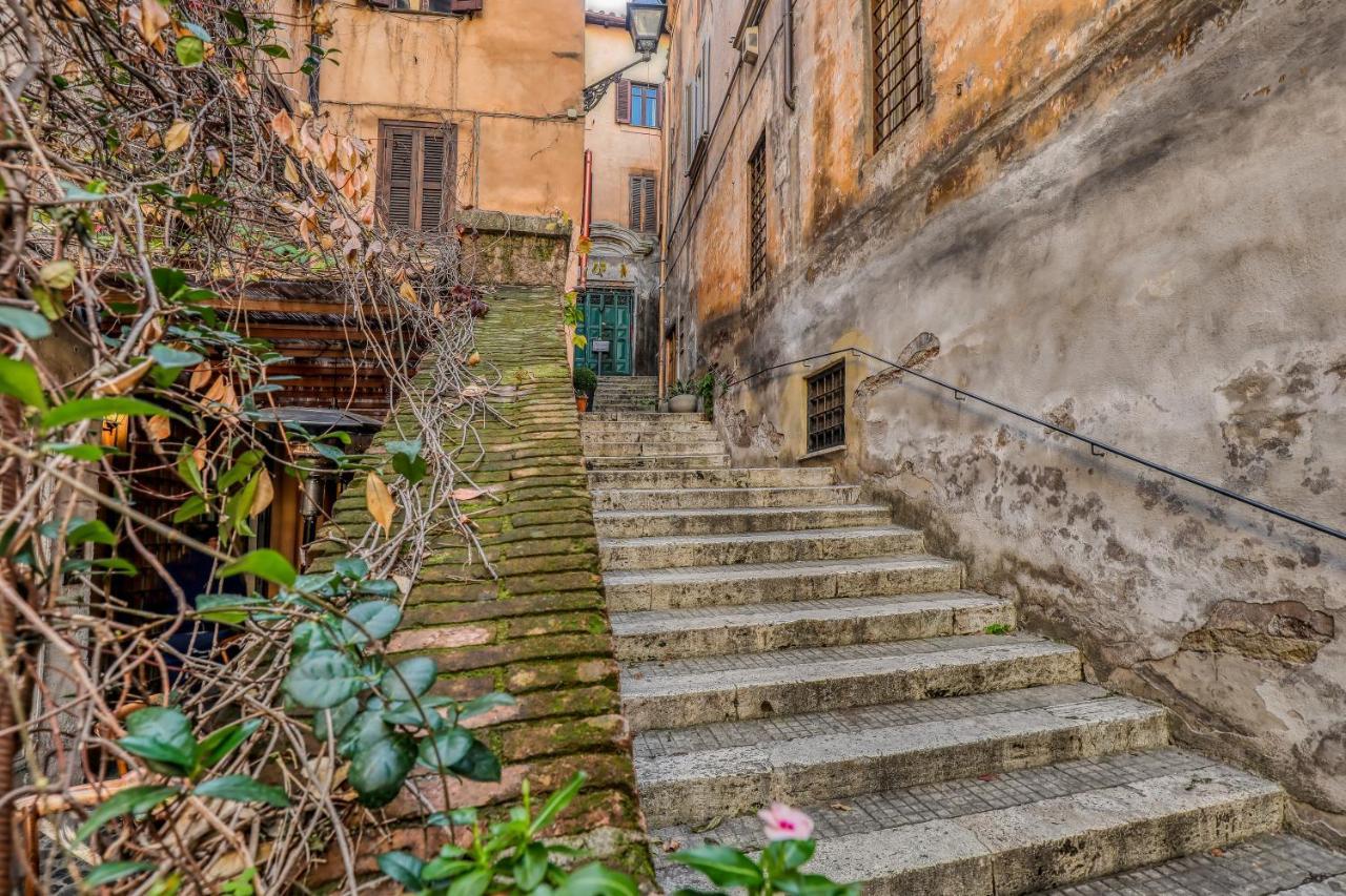 Luxury Navona
